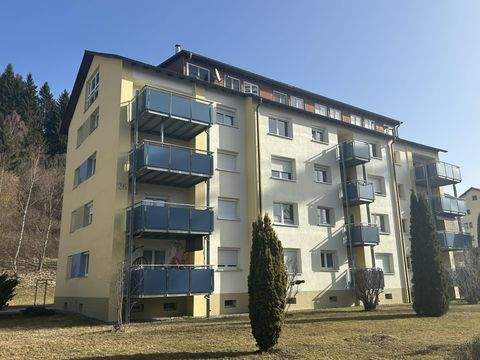 Titisee-Neustadt Wohnungen, Titisee-Neustadt Wohnung kaufen