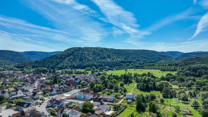 Umgebung - Fischbach