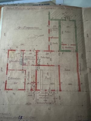 IMG_8335.jpeg