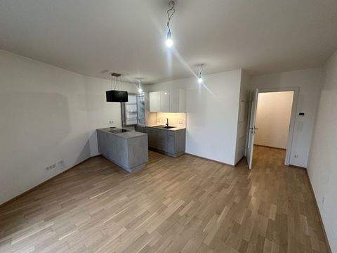 Wien Wohnungen, Wien Wohnung mieten