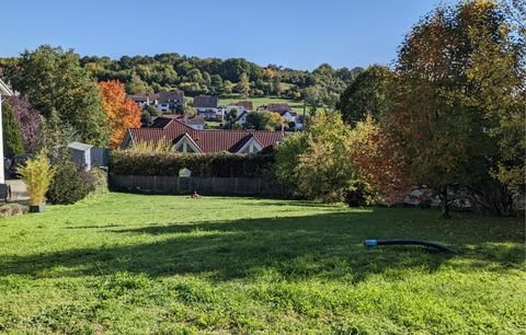 Hirschhorn Grundstücke, Hirschhorn Grundstück kaufen