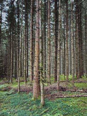 2025-07-22 14.26.49.jpg