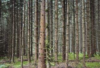 2025-07-22 14.26.49.jpg