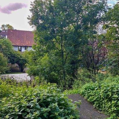 Blick auf Garten u. Hinterhaus