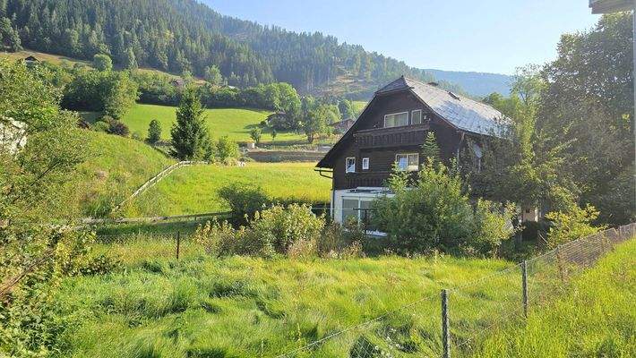 Außenansicht - Haus - Bad Kleinkirchheim - kaufen