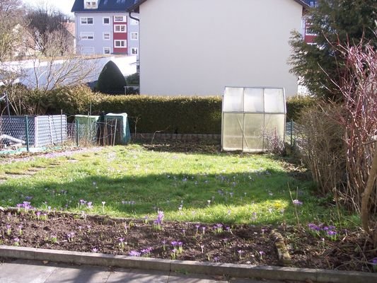 Garten Südseite Februar.JPG