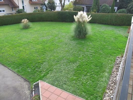 Gartenblick .JPG