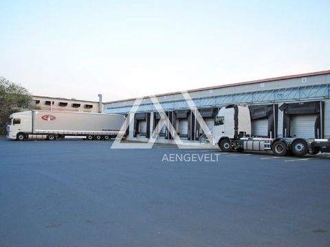 Kassel Halle, Kassel Hallenfläche