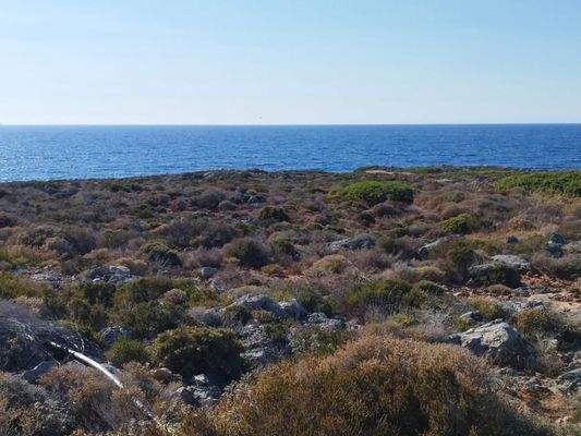 Kreta, Stavros: Küstengrundstücke mit Baugenehmigung und Meerblick zu verkaufen