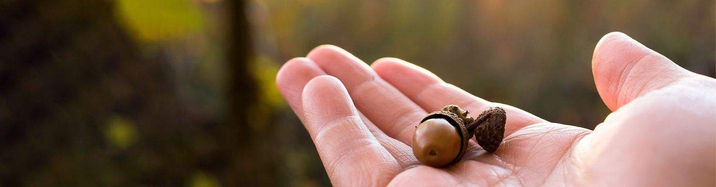 Websitesujet_718x188px_KaLeu