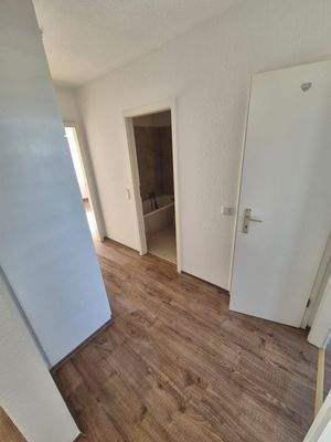 Image - 2025-11-04T144417.293