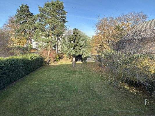 großer, sonniger Garten