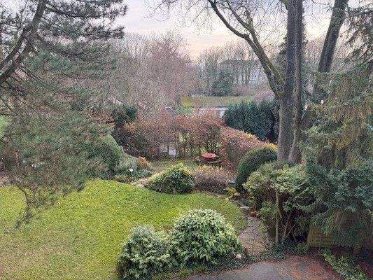 Blick in den Garten .jpeg