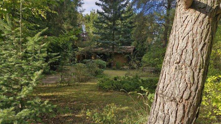 Bungalow Frontansicht