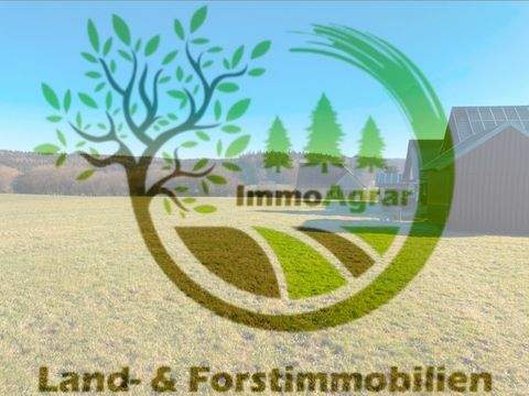 Breitenbrunn Bauernhöfe, Landwirtschaft, Breitenbrunn Forstwirtschaft