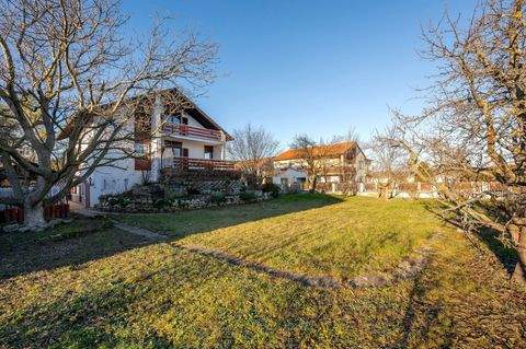 Rust Häuser, Rust Haus kaufen