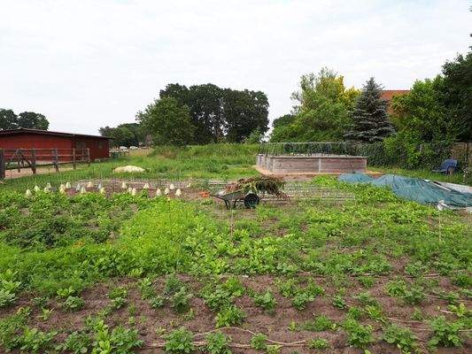 Impressionen Sommer25 (6).JPG