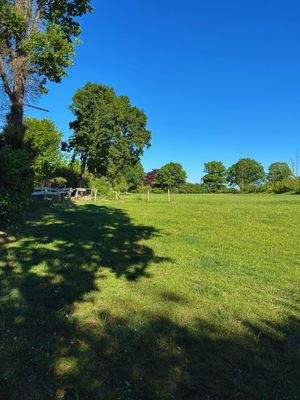 Auch die Rehe besuchen regelmäßig das Anwesen