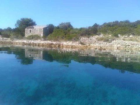 Iz - Rava Bauernhöfe, Landwirtschaft, Iz - Rava Forstwirtschaft