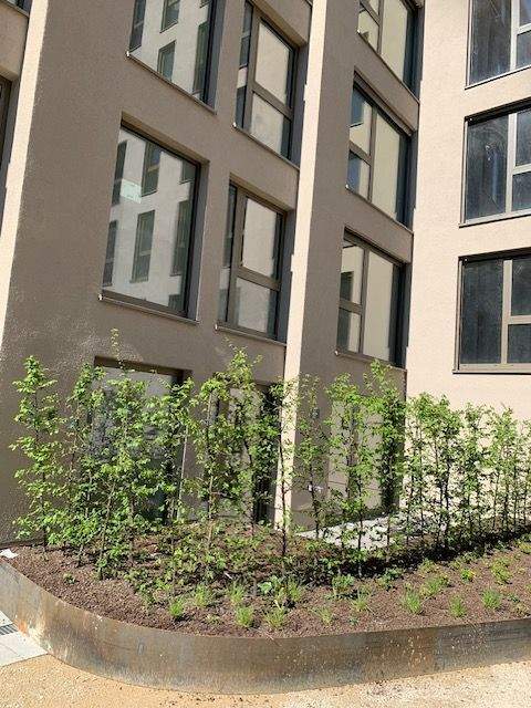 Mainz Wohnungen, Mainz Wohnung kaufen