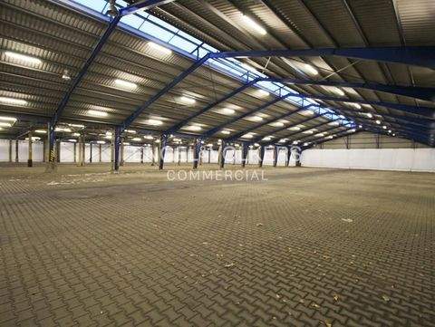 Oranienburg Halle, Oranienburg Hallenfläche