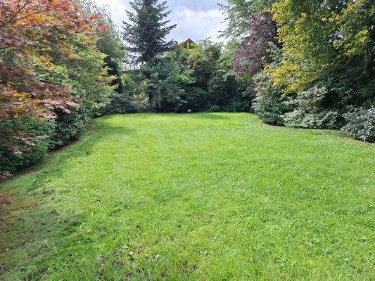 Gartenbereich - Bauplatz