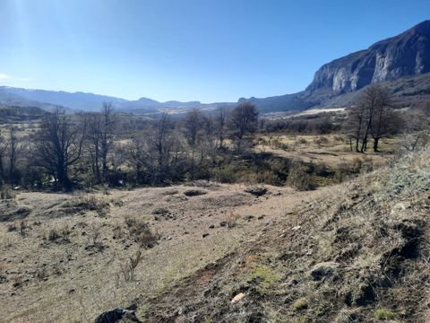 Coyhaique Bauernhöfe, Landwirtschaft, Coyhaique Forstwirtschaft