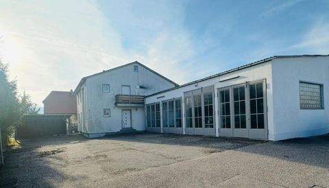 Wörth Halle, Wörth Hallenfläche