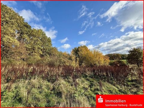 Betzendorf Grundstücke, Betzendorf Grundstück kaufen
