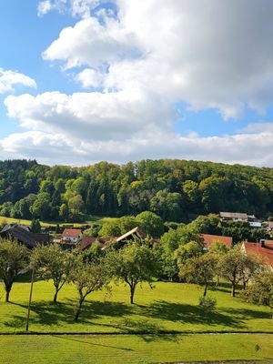 Dillendorf (16)