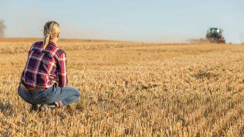 Hiddenhausen Bauernhöfe, Landwirtschaft, Hiddenhausen Forstwirtschaft