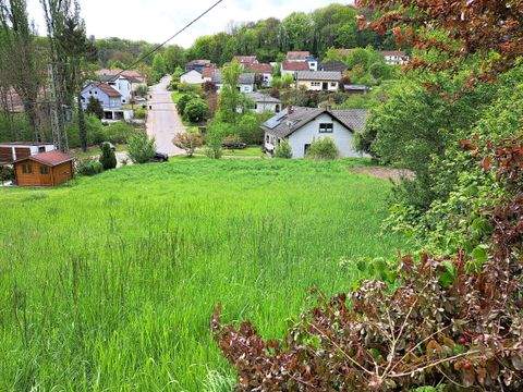 Merzig Grundstücke, Merzig Grundstück kaufen