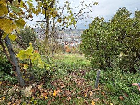 Weinstadt Häuser, Weinstadt Haus kaufen