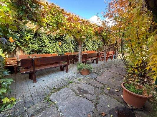 Garten im hinteren Bereich