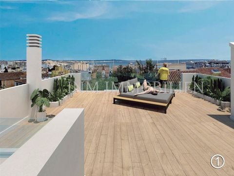 Palma de Mallorca Häuser, Palma de Mallorca Haus kaufen