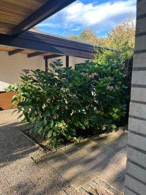 Nebeneingangstür zum Carport.jpg