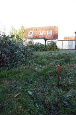 Ansicht Verlauf der Grenze zum vorderen Grundstück