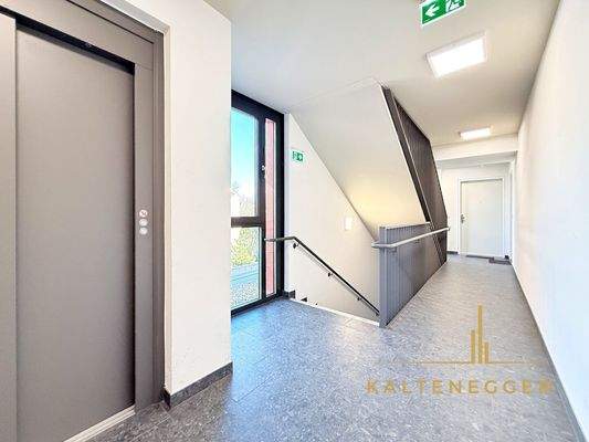 1. OG: Lift, geradeaus Wohnungstüre