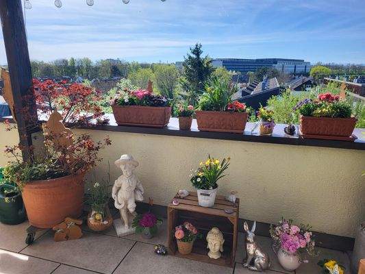 Dachterrasse Südblick