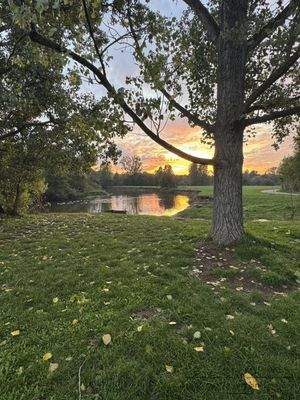• Kurzer Weg ins Naturschutzgebiet 