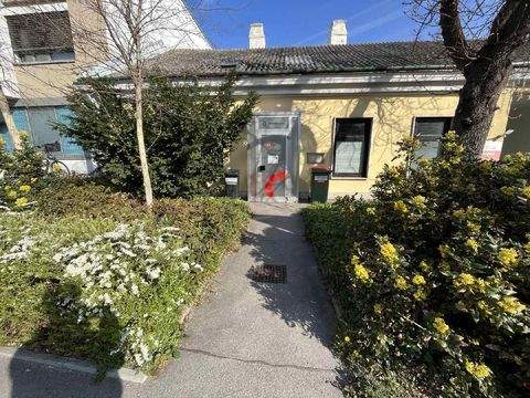 Mödling Büros, Büroräume, Büroflächen 