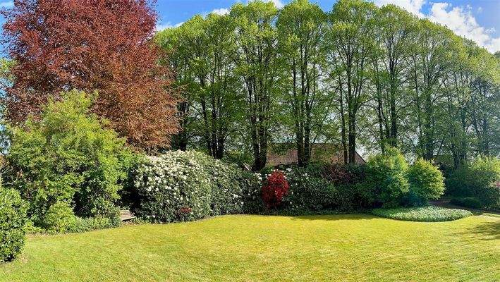 Garten Richtung Lindenallee