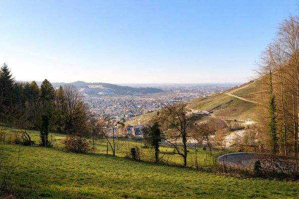 Blick über die Rheinebene