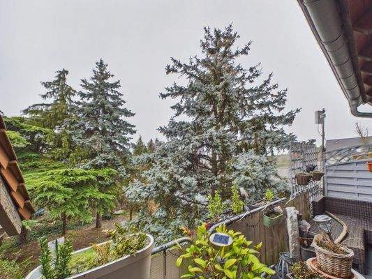 Blick ins Grüne, Wohnung OG