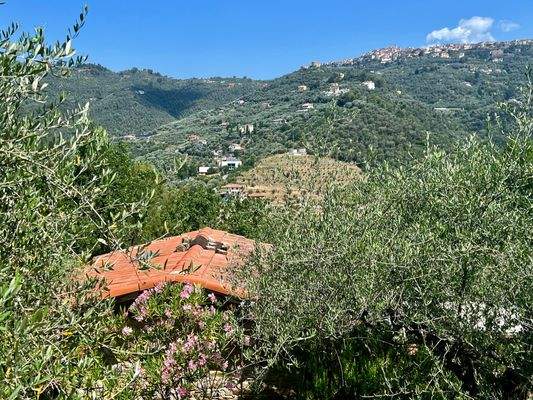 PE925_01 TERRA ITALIA IMMOBILIEN_LIGURIEN_PERINALD