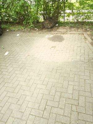 Stellplätze durch Nummern gekennzeichnet