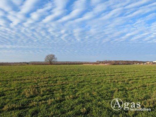 Ansicht Richtung Weg