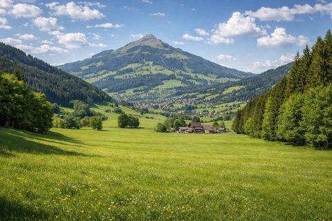 Hopfgarten-Markt / Grafenweg Bauernhöfe, Landwirtschaft, Hopfgarten-Markt / Grafenweg Forstwirtschaft