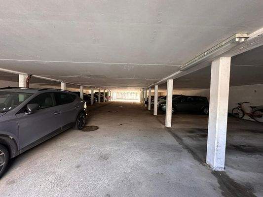 WhatsApp Image 2026-02-24 at 12.44.28 (1).jpeg