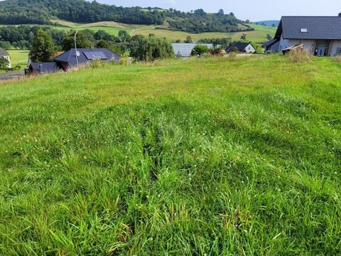 Schankweiler Grundstücke, Schankweiler Grundstück kaufen